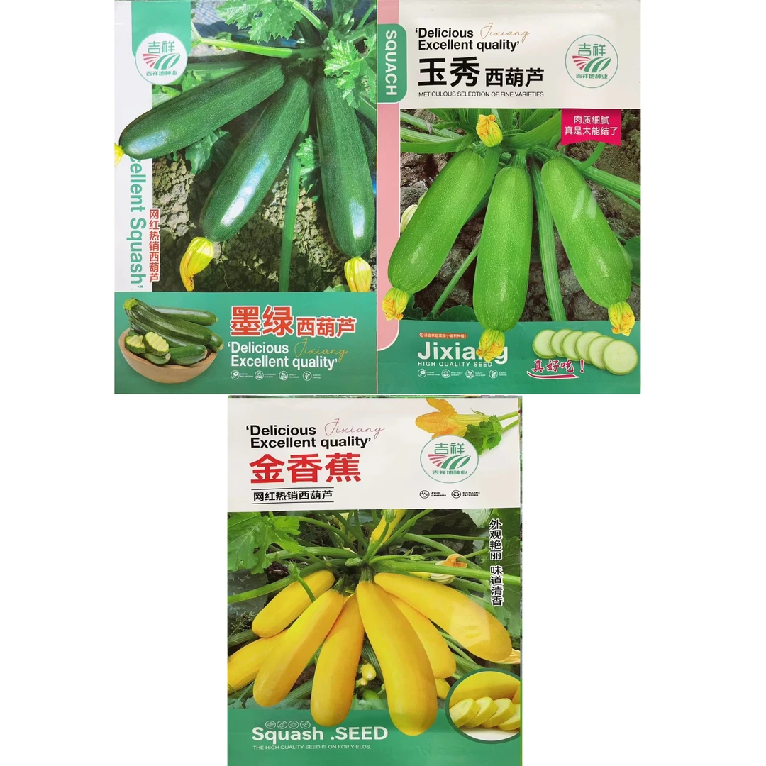 西葫芦种子墨绿黄香蕉种子籽可食用耐高温高产