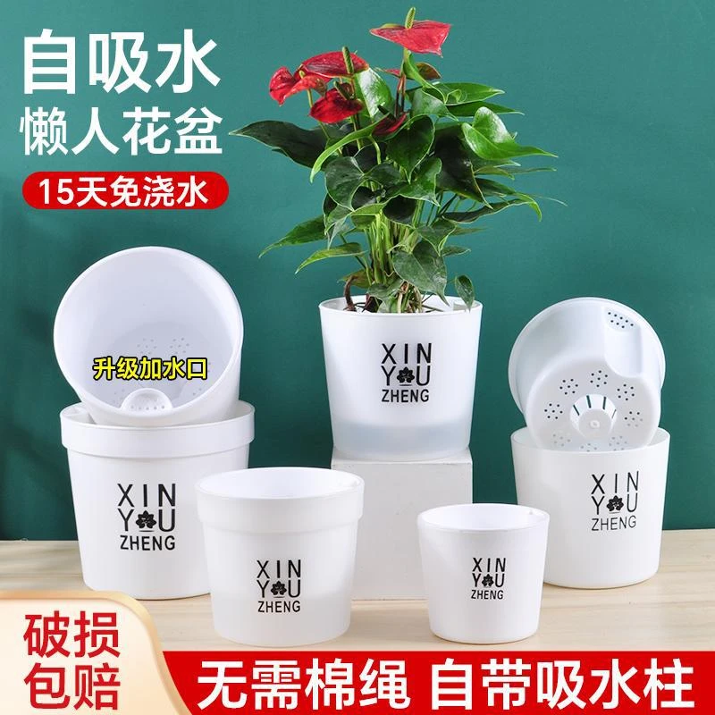 大口HL直口ZK家用小盆