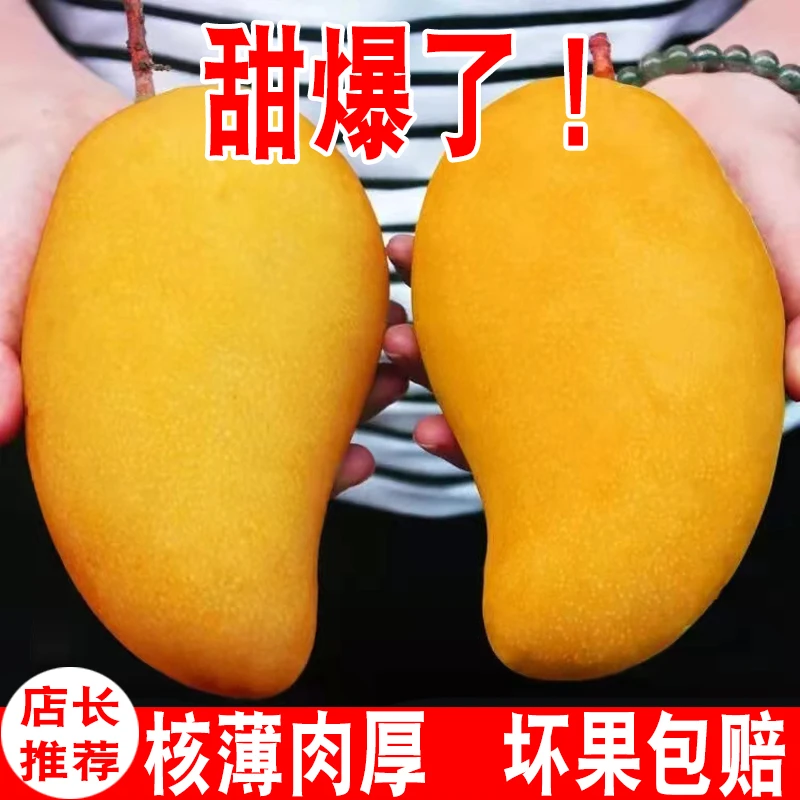海南金煌芒果新鲜水果当季水仙芒金黄大芒果大果特大5-8斤整箱