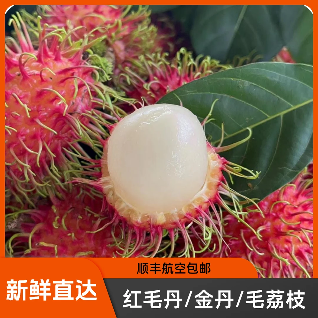 红毛丹/金丹/毛荔枝/7号果礼盒装海南保亭产地直发顺丰快递发运