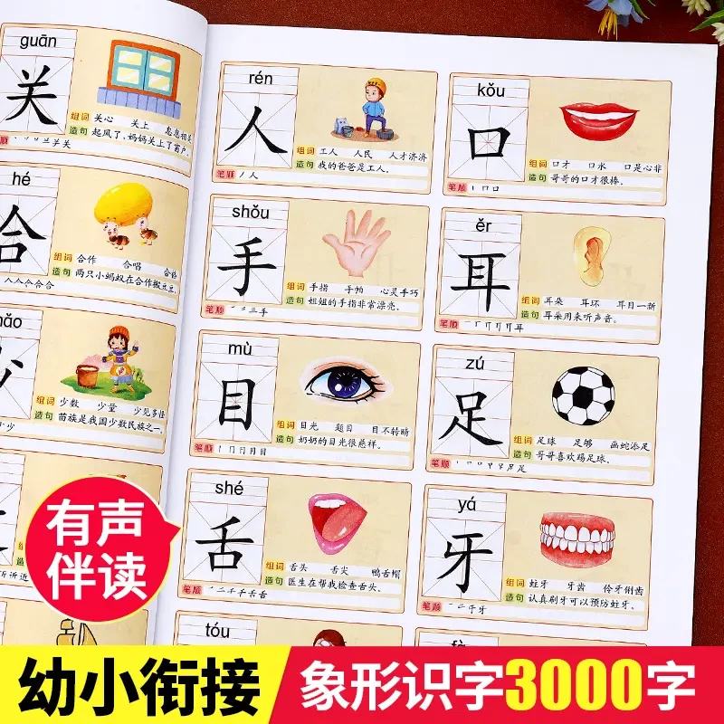 识字大全3000字幼儿园大班小中班认字神器儿童看图入门识字大王书