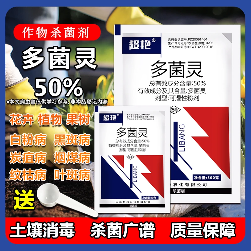 多菌灵土壤杀菌剂药叶斑病月季黑斑多肉花卉植物果树通用园艺
