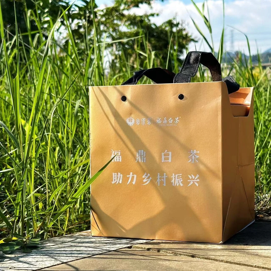 爱上老白茶 福鼎白茶助力乡村振兴 畲依茗白茶
