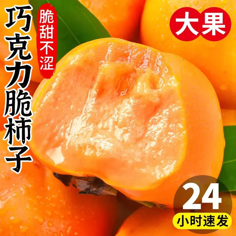 【冰糖心巧克力脆柿子】山西运城阳丰甜柿4.5斤应季新鲜水果