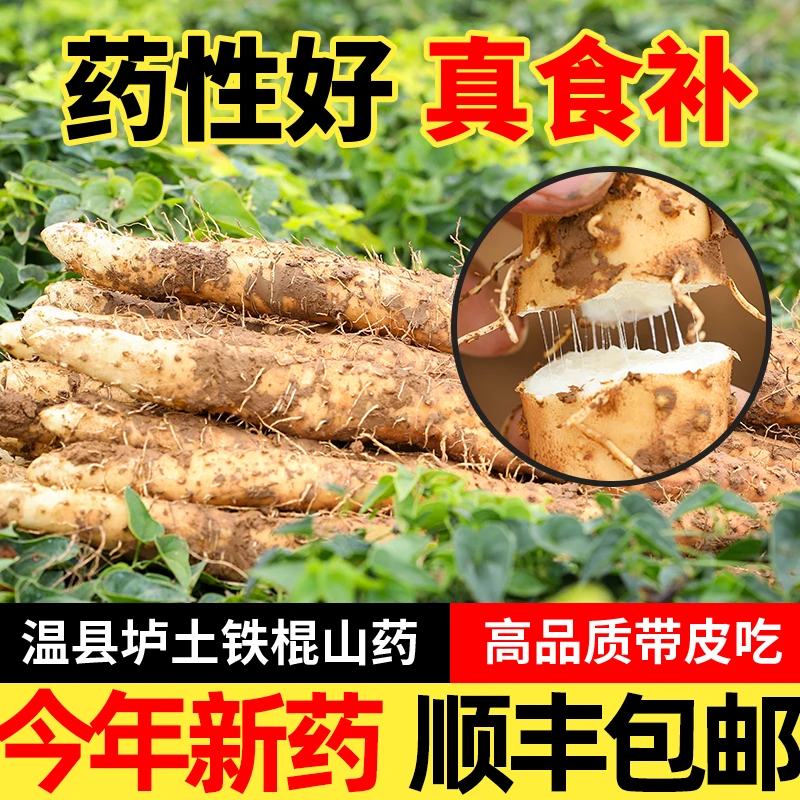 【顺丰包邮 坏果包赔付】焦作温县正宗铁棍山药垆土山药新鲜5斤