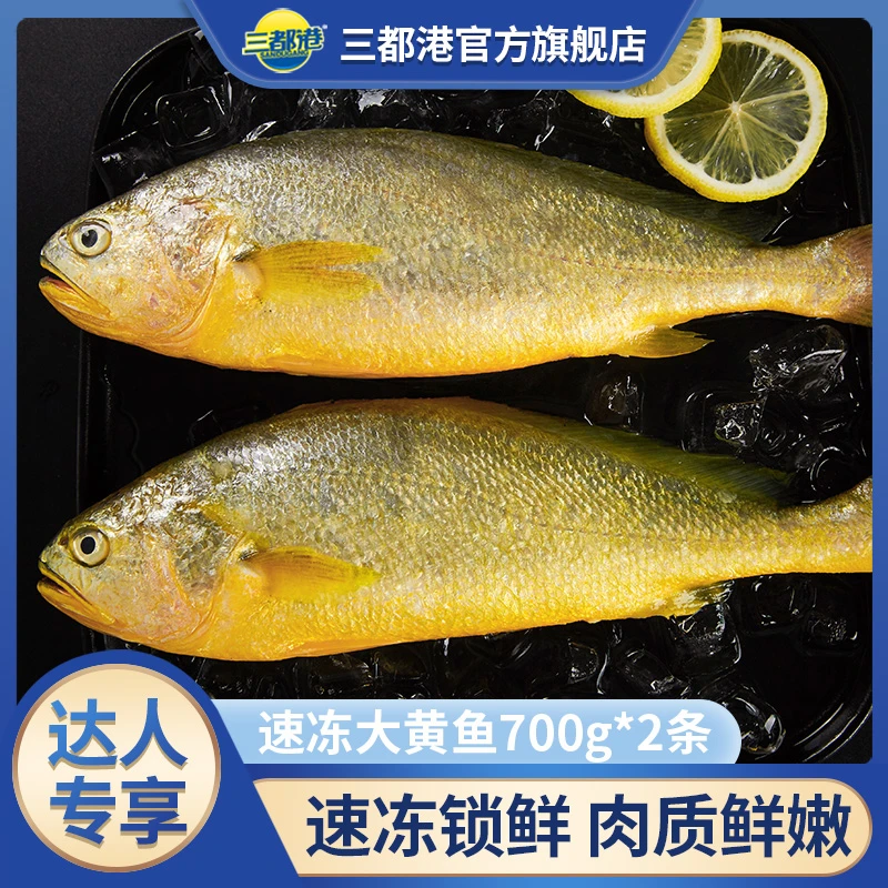 三都港速冻大黄鱼700g*2条 宁德正宗黄花鱼速冻【达人专享】