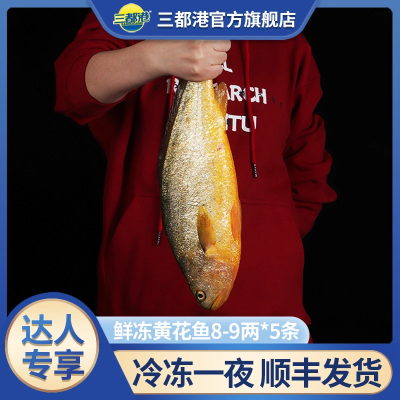 三都港鲜冻大黄鱼8-9两*3条现捕冷冻正宗新鲜黄花鱼【达人专享】