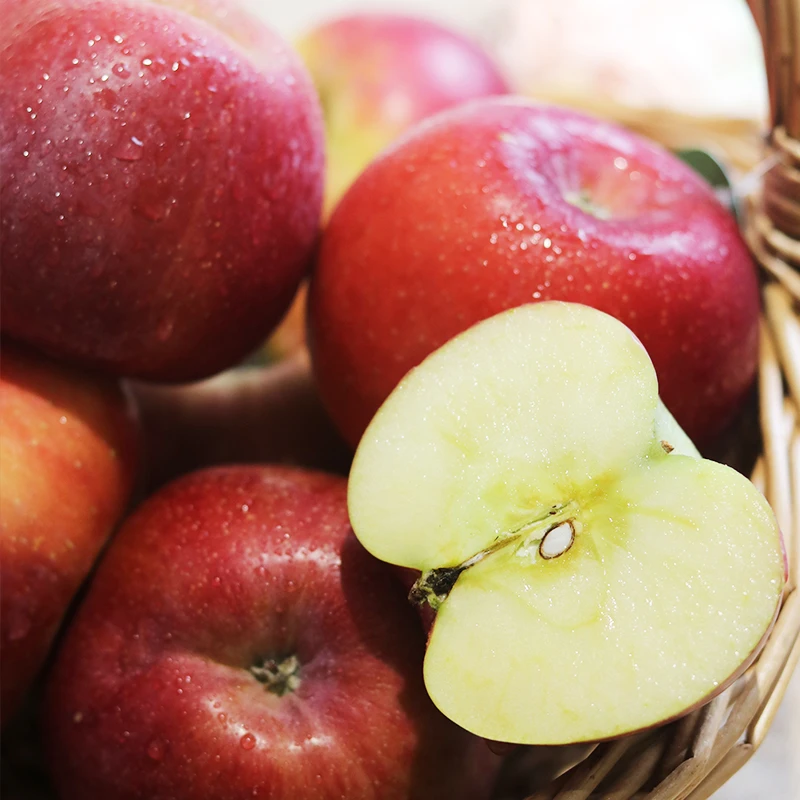 阿坝州小金县高原红苹果 4.5斤装HD