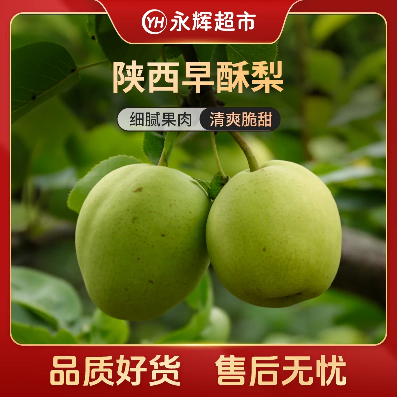 【永辉超市】陕西早酥梨3斤装