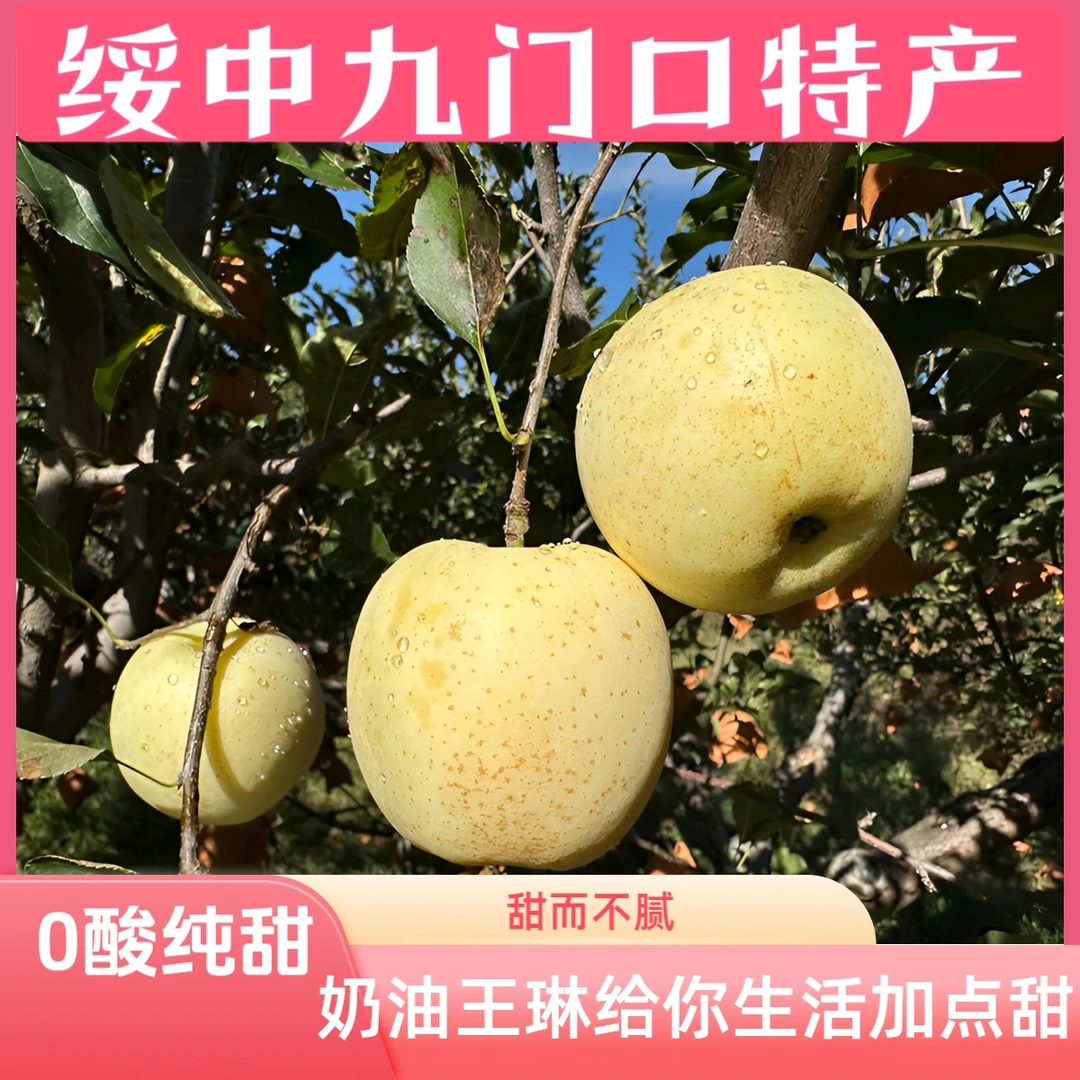 绥中九门口，王琳苹果，0酸纯甜，每一口都是嘎嘎脆。奶油