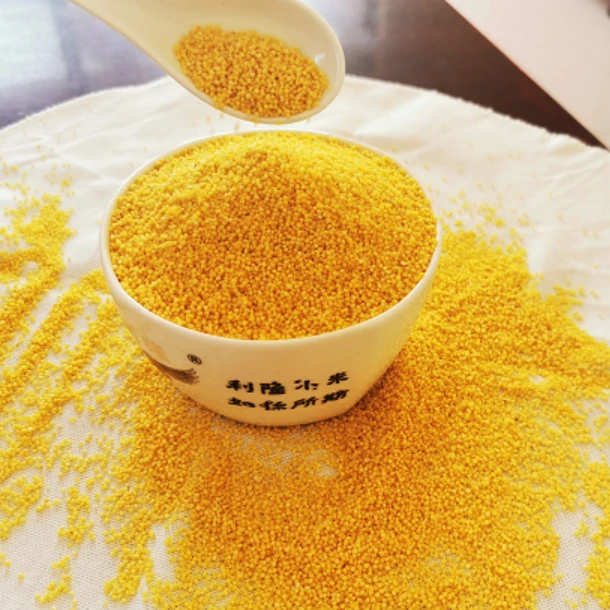 【娇妹年终大促】一级新米 赤峰小米5斤装