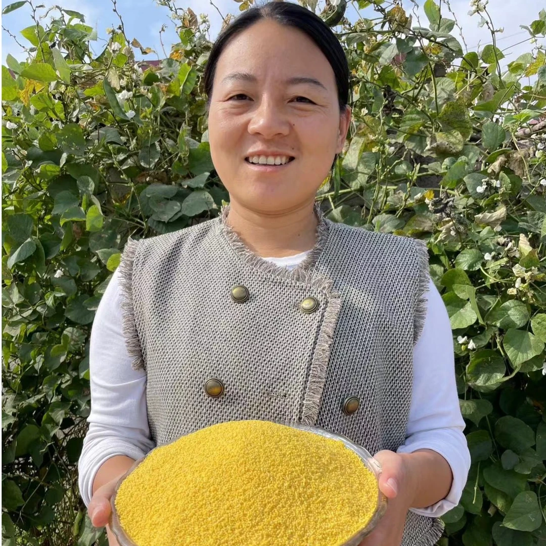 【燕芸十六专属】一级新米 赤峰小米5斤装