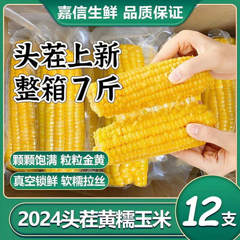 【Z试吃2根】头茬黄糯玉米整箱12支软糯香甜真空包装正宗东北糯玉米