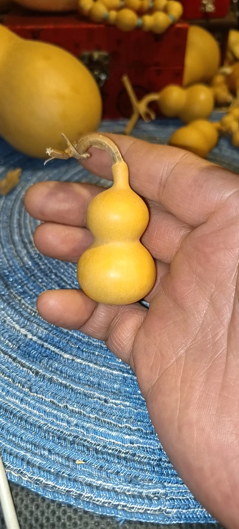 天然文玩葫芦直播间专用链接(一物一拍)