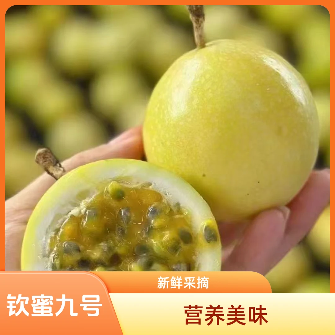 新鮮采摘钦蜜九号营养美味黃金百香果鲜甜多汁2 /3/5斤包邮好吃