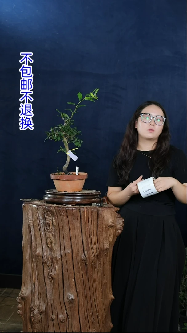 【闪购商品】红陶20CM（含）-50CM（不含）2