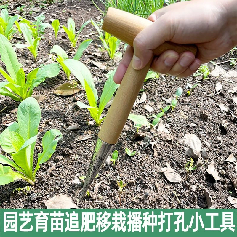CPAI播种打洞器移苗追肥不锈钢园艺种菜育苗种花播籽器工具种苗