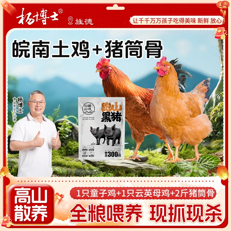 【皖南土鸡+猪筒骨】杨博士土鸡皖南高山散养童子鸡云英母鸡猪筒骨