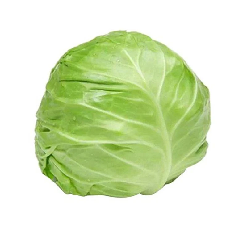 圆白菜约1400g±50g