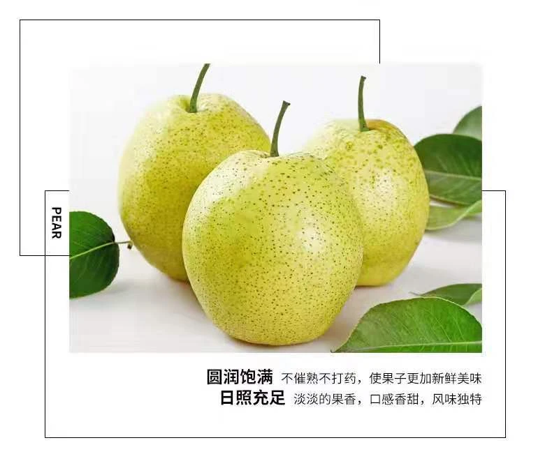 云南高原香梨脆甜多汁现采现发