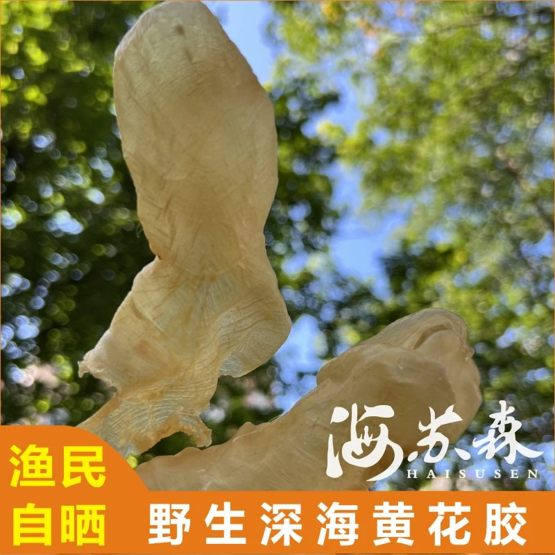 花胶黄花胶鱼胶干货正品鱼肚深海鱼鳔儿童孕妇滋补品商用煲汤