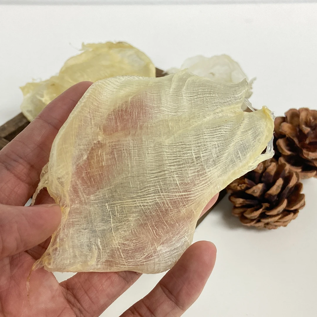 白花胶-女性营养孕期多种食用老少皆宜老少皆宜女性营养孕期