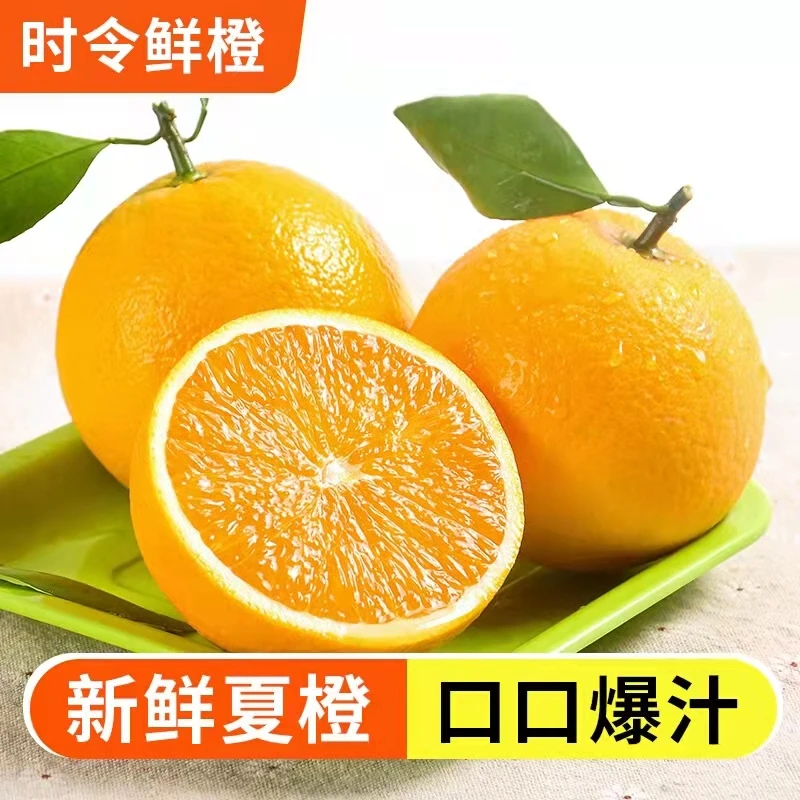 榨汁新鲜夏橙爆汁甜橙现摘水果现摘现发应季多汁3斤/5斤/9斤