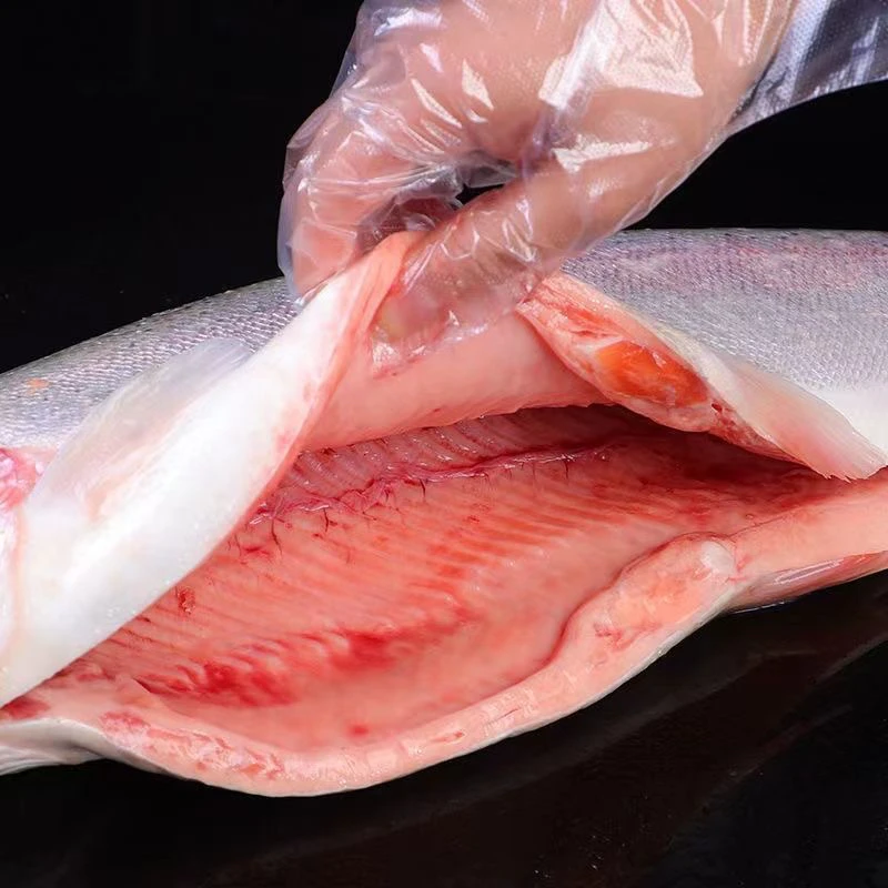 【现挑现称整鱼】 新疆国产三文鱼 冰鲜三文鱼整条
