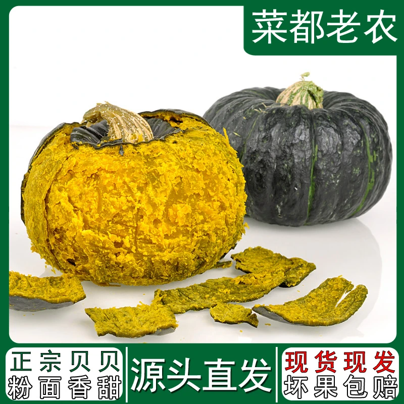 菜都老农正宗贝贝南瓜粉面香甜板栗香浓郁山东蔬菜4.5斤厚元