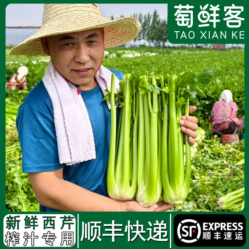 [顺丰快递]新鲜西芹榨汁专用现割现发货净重5斤西芹汁