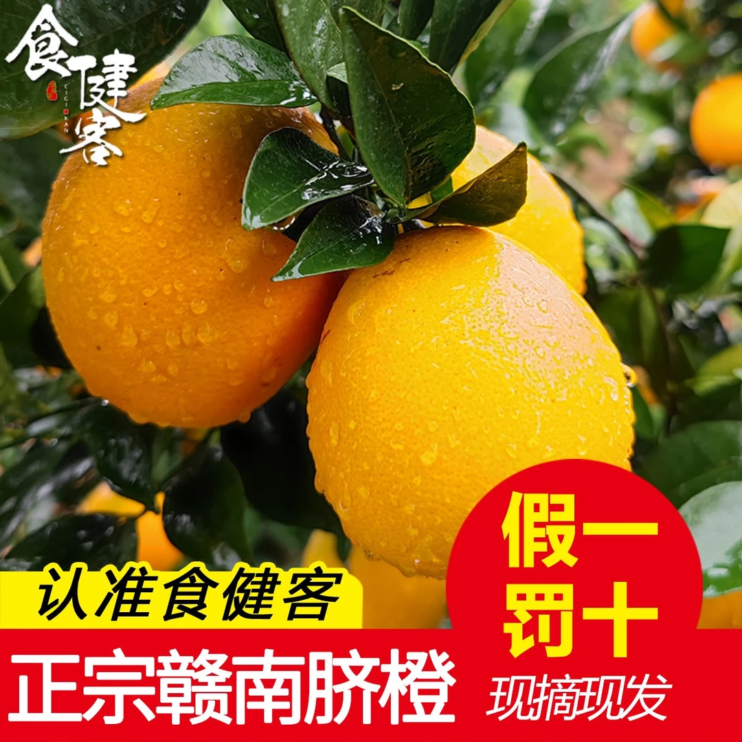[10斤大果]正宗赣南脐橙原产地直发赣州特产现摘现发当季水果赣橙