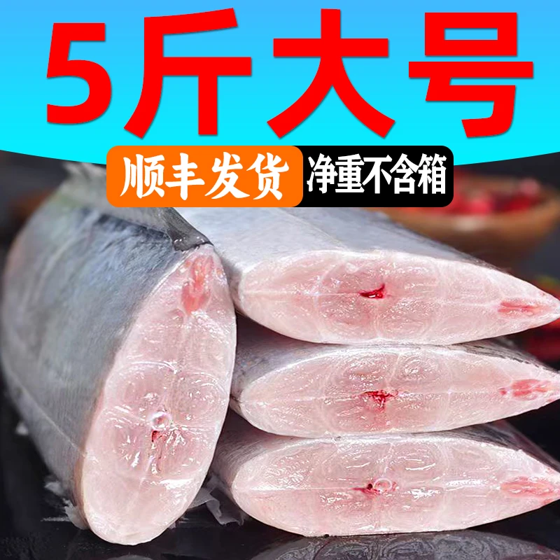 (五斤带鱼) 新鲜冷冻中段带鱼整箱海鲜水产鱼