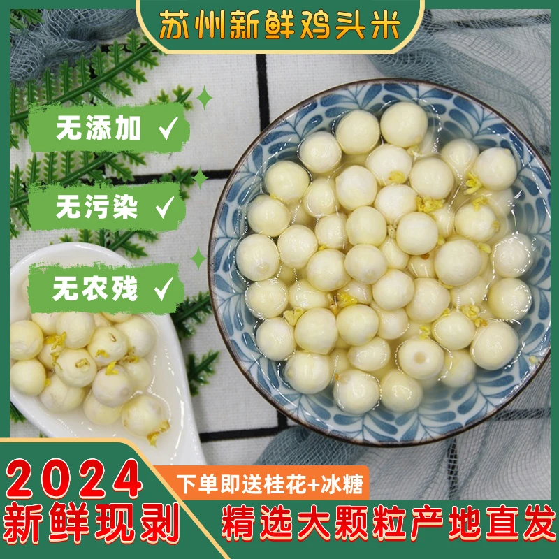 【精品中颗粒】生鲜冷链2024头茬正宗苏州鸡头米