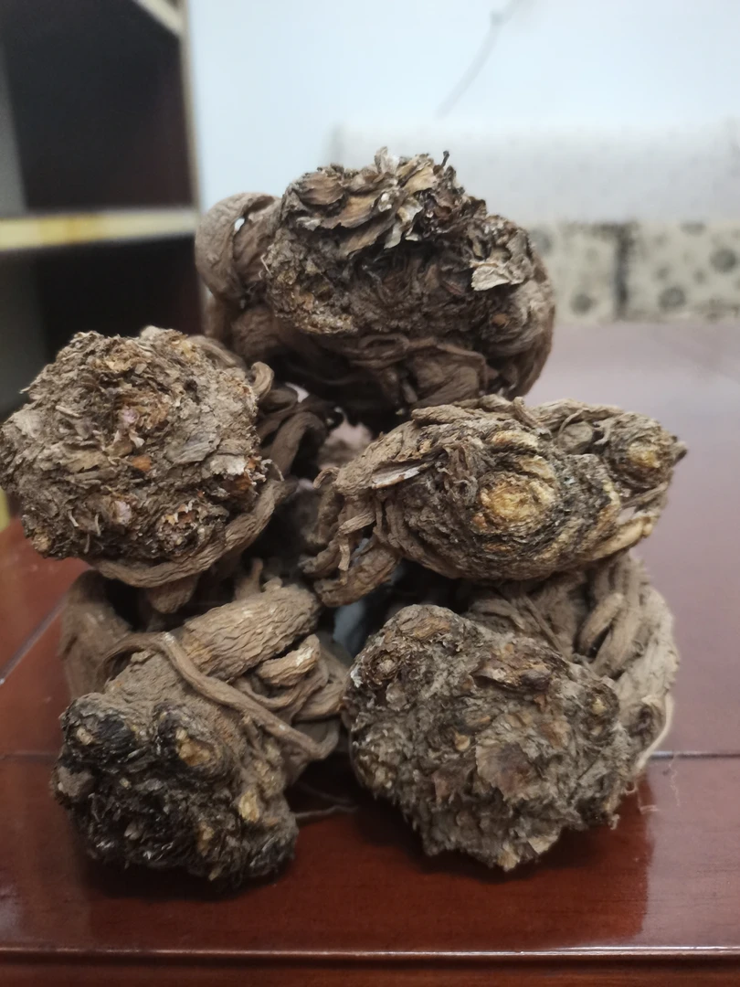 甘肃岷县农家种植大条当归250克-500克