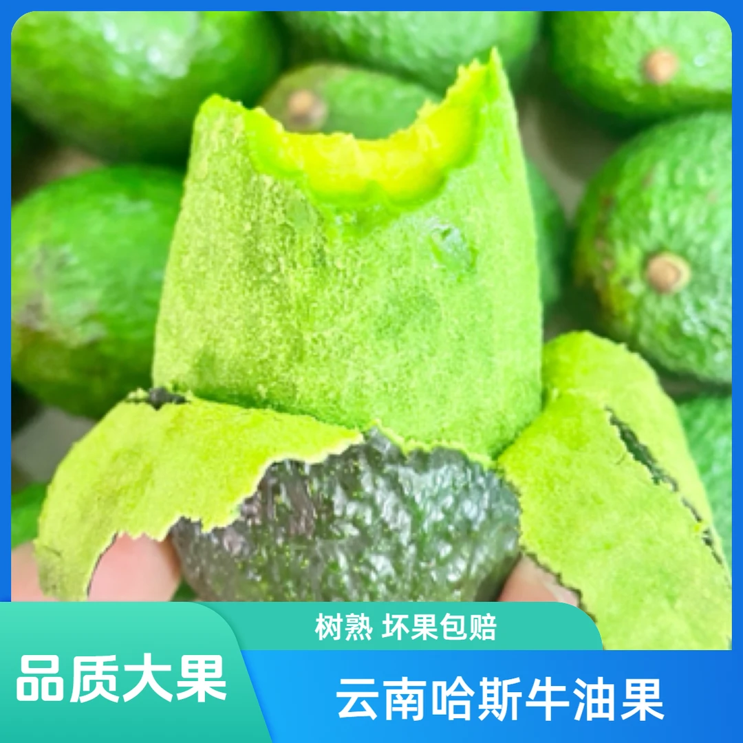 A级哈斯牛油果云南高原特色水果孟连牛油果190-220克礼盒装