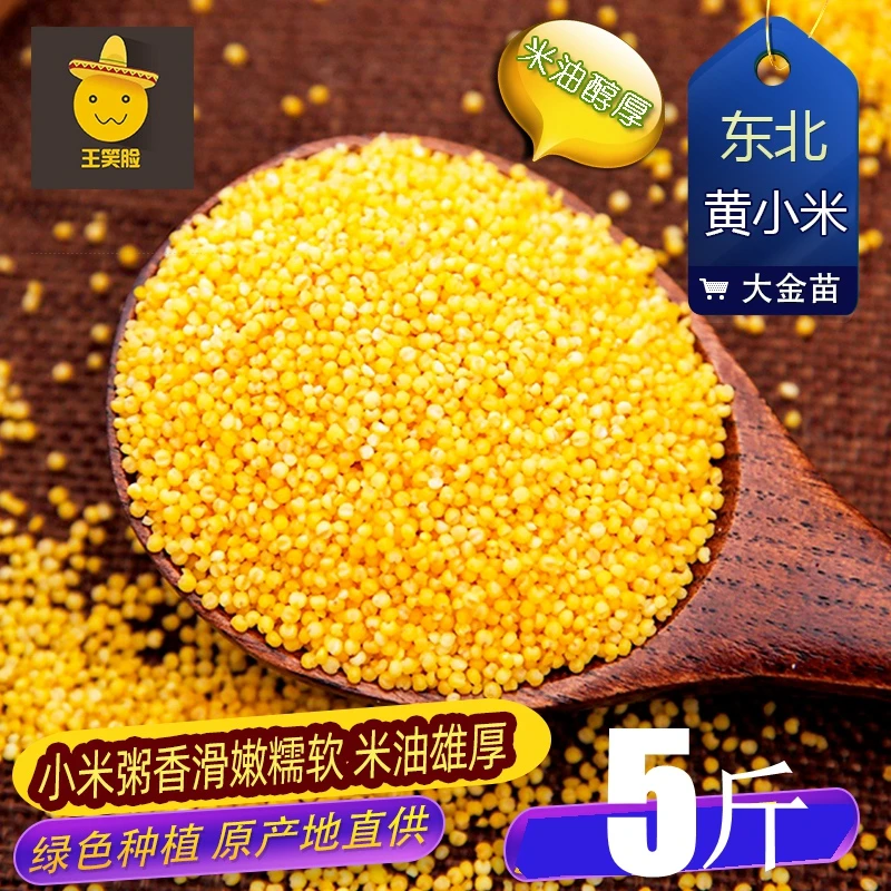 东北大金苗黄小米米油雄厚5斤新米宝宝小米2人份冬瓜茄子豆腐脑