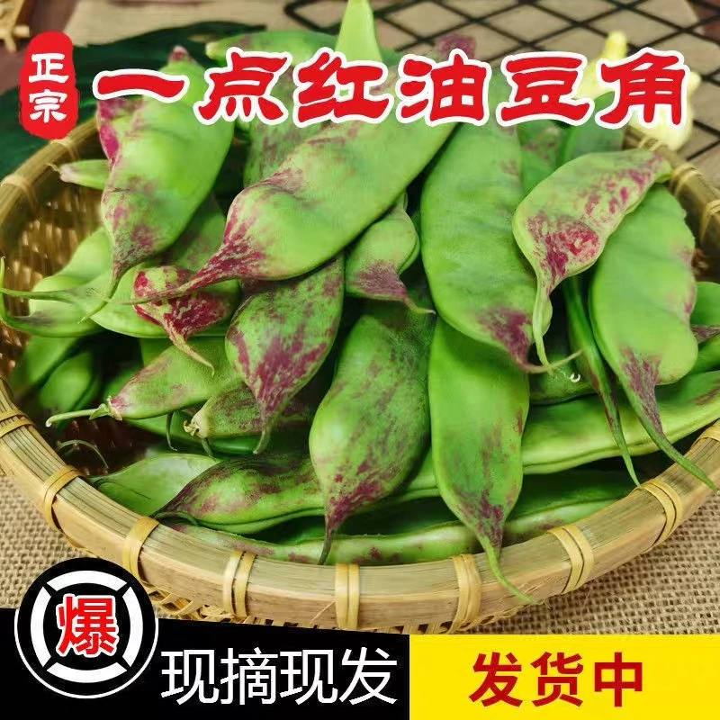 东北一点红 油豆角 现摘现发 新鲜蔬菜 开锅烂 3斤 5斤顺丰包邮
