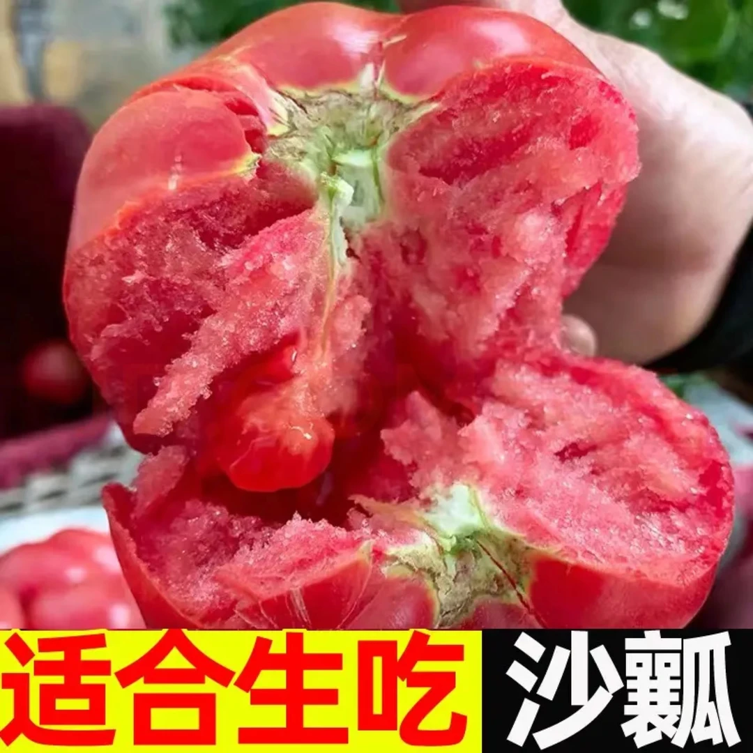 东北西红柿  沙瓤西红柿新鲜现摘番茄蔬菜水果 包邮