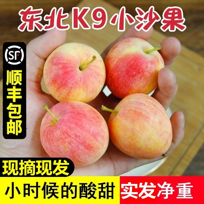 东北K9小沙果 海棠果 应季水果新鲜采摘迷你小苹果3斤5斤顺丰包邮