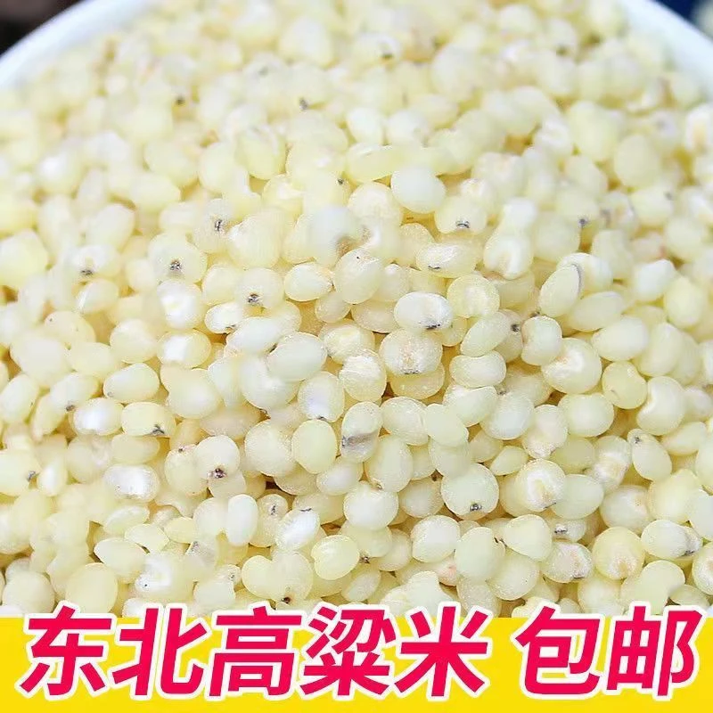 东北6A高粱米3斤 5斤包邮12月常温红烧鸡蛋牛肉饱腹饱满饱满