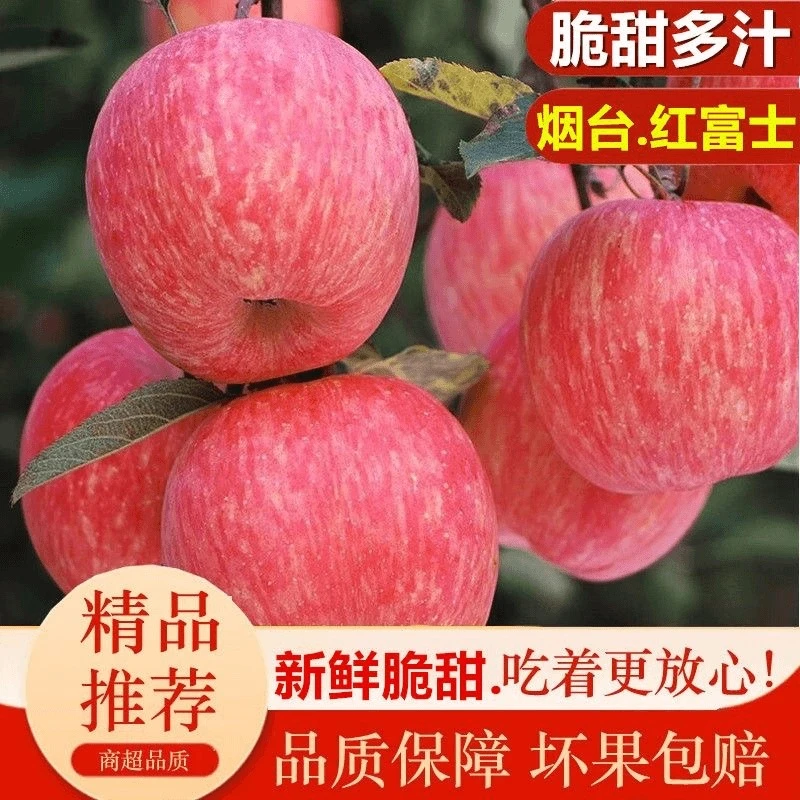 正宗栖霞苹果拍5斤送5斤山东烟台红富士脆甜多汁/带箱9.5-10斤