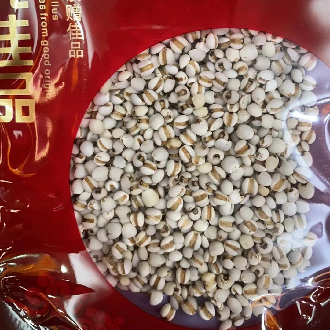 正宗新鲜小薏米{基哥甄选鱼胶行}