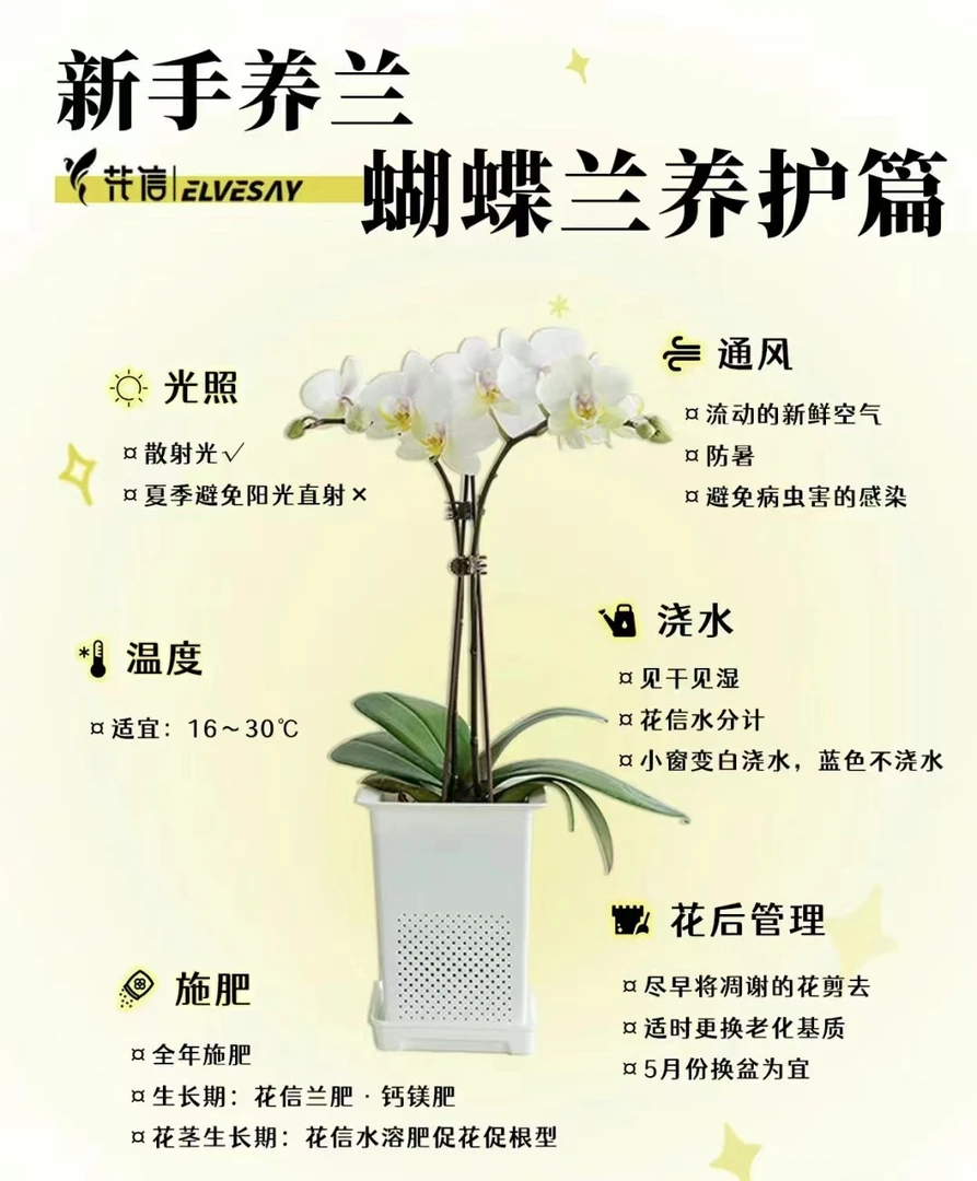 一物一拍看好下单