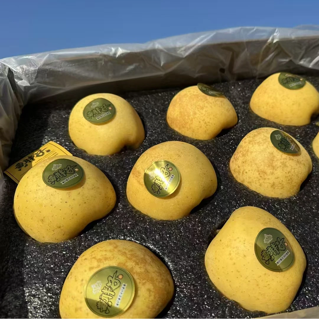 【恒泽优选】黄胖子黄金维纳斯苹果新产季(威海产区)