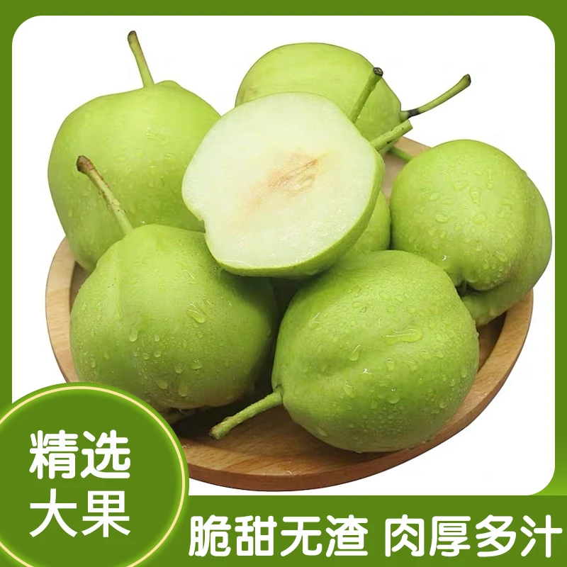 阜南翠玉梨皮薄核小水分足5斤装 10-12个 支持试吃2个