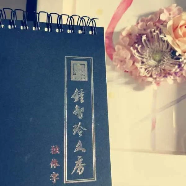 素心书法 可擦拭独体字册十厘米格子