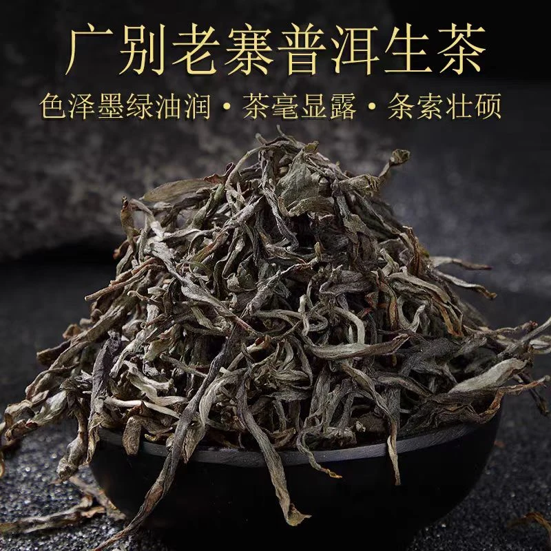 2025年广别老寨55号古树春纯料生茶散料