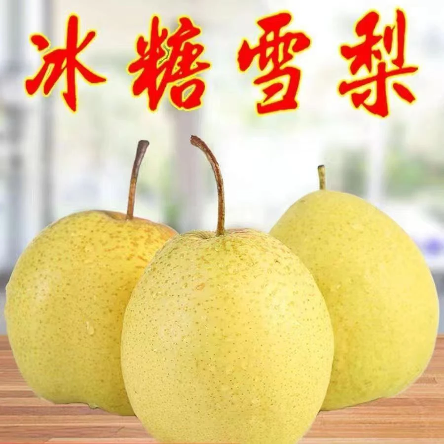 新鲜冰糖雪梨 秋梨 新鲜水果梨子 当季甜雪梨4.5-9斤装 箱装包邮