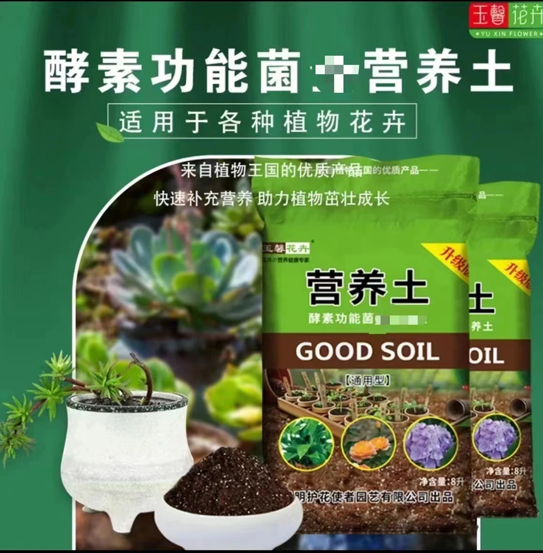 【西哥】8L云南深山腐植土肥力大内含珍珠岩容易发根透气性保水性好