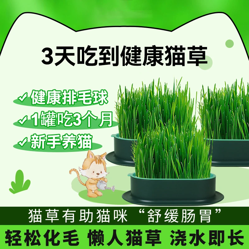 猫草盆栽猫薄荷化毛草排毛草有机幼猫成猫咪零食懒人无土水培猫草